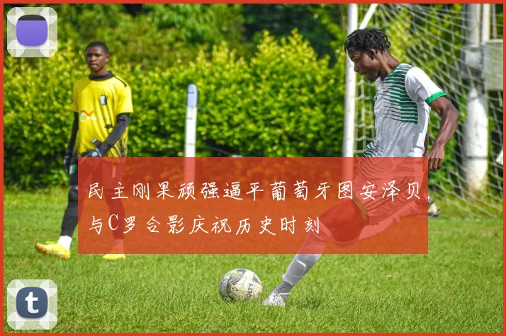 民主刚果顽强逼平葡萄牙图安泽贝与C罗合影庆祝历史时刻