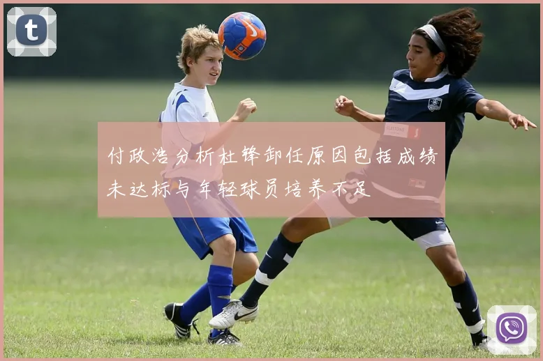 付政浩分析杜锋卸任原因包括成绩未达标与年轻球员培养不足